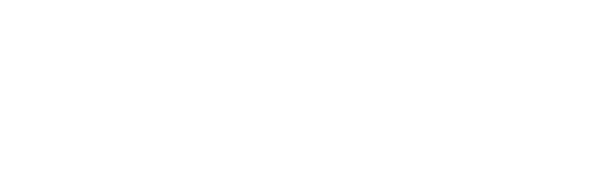 Memory Chronicles - Video Interviews